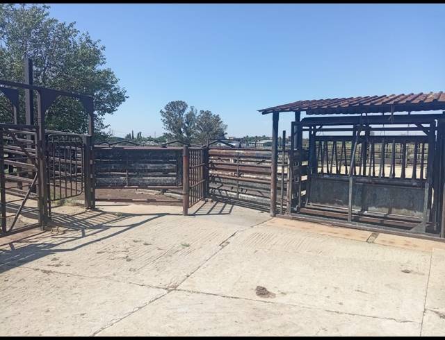 93,766M² FARM FOR SALE IN ROODS GARDENS